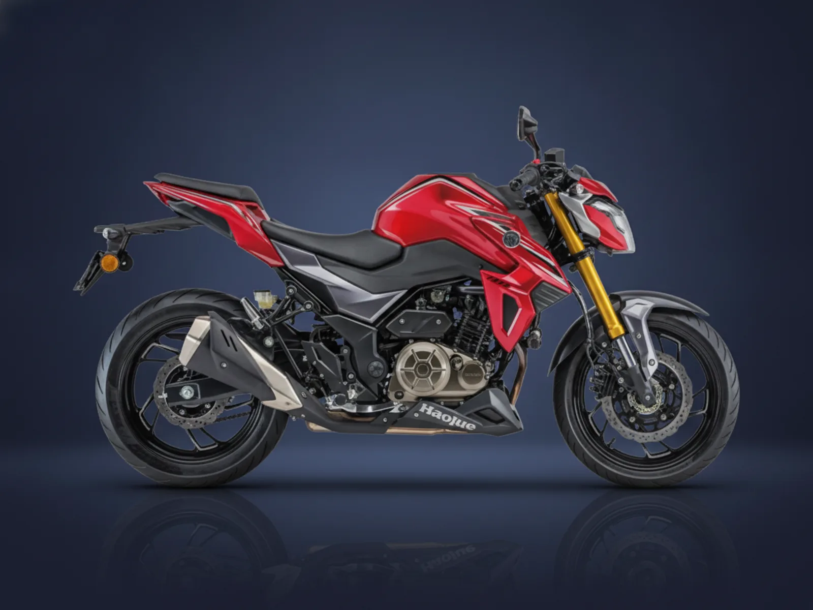 Haojue DR-300